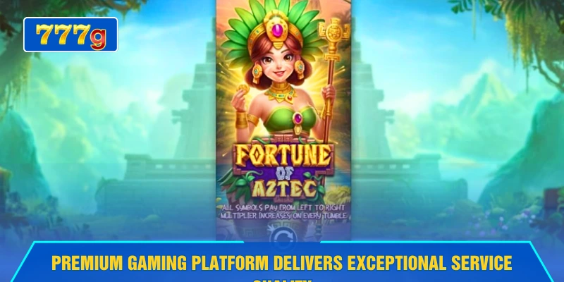 Premium gaming platform delivers exceptional service quality
