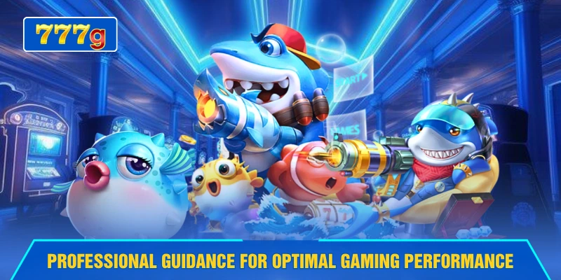 Professional guidance for optimal gaming performance